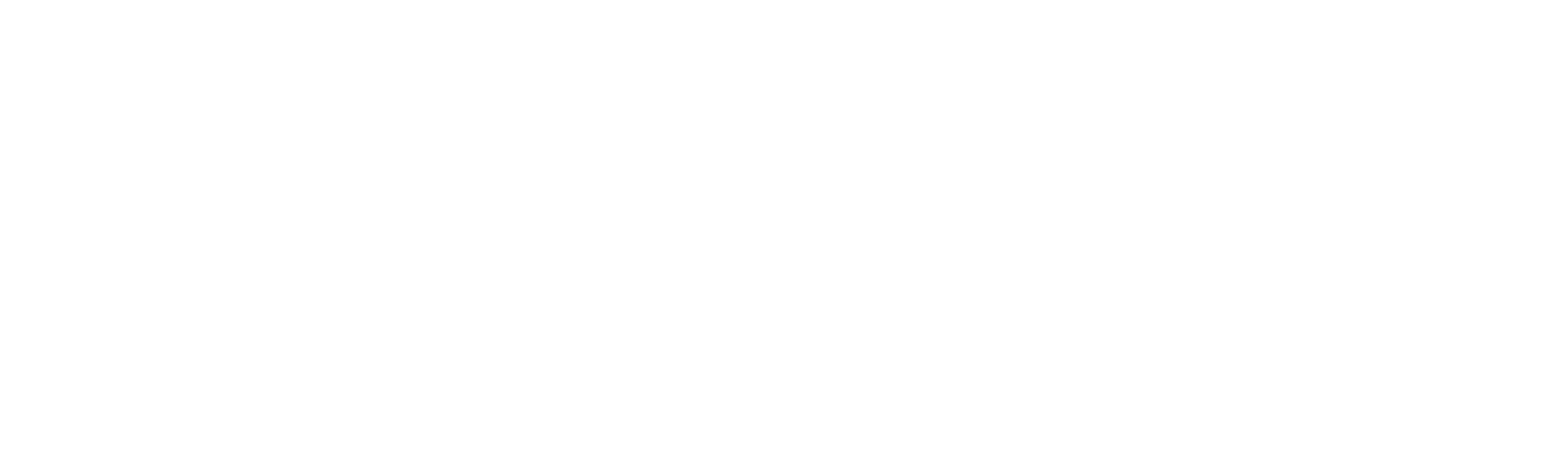 Toyonauto